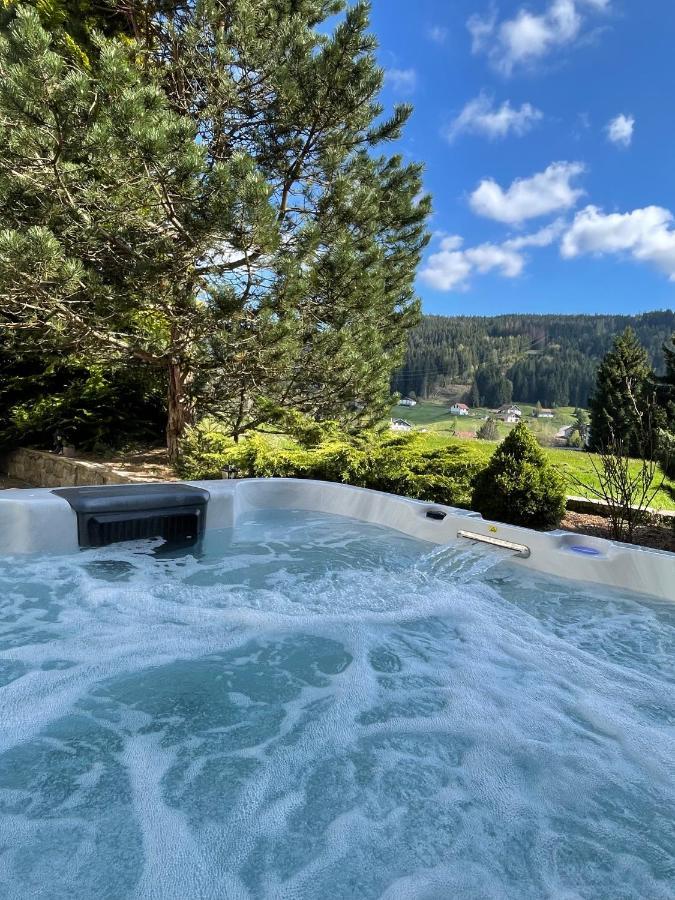 La Charbonniere, Grand Gite Haut-De-Gamme Avec Jacuzzi Et Sauna Gérardmer Exterior foto